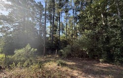 PARCEL#31432 CR 3385, Lovelady, TX 75851