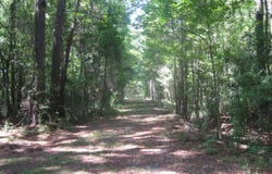 Slab Landing Road, North, SC 29112