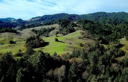 1450 Ca-20, Willits, CA 95490