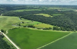 Smithfield Dr, Luana, IA 52156