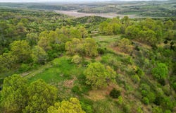 State Highway D, Thornfield, MO 65762