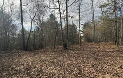Valerie Dr 10.76 acres, Deer Lodge, TN 37726