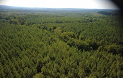 Highway 61, Columbiana, AL 35051