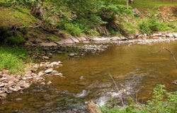 176 ROCK MILLS Road, CASTLETON, VA 22716