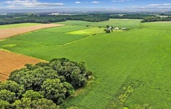 Holt Road, Princeton, NC 27569