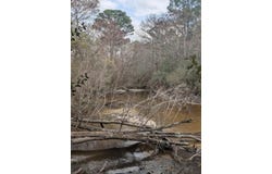 Plantation Lane lot: 9, DeFuniak Springs, FL 32433
