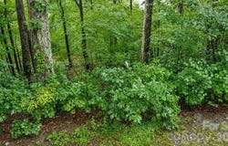 #46 Hemlock Trail, Columbus, NC 28722