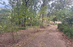 32545 Highway 8 E, Gore Springs, MS 38929