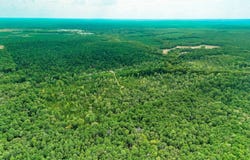 Dollar Junction Road, Huttig, AR 71747