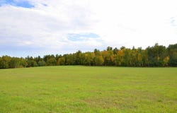 Juneberry Drive, Park Rapids, MN 56470