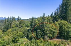 Elderberry Dr, Seaside, OR 97138