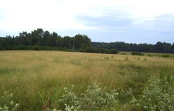 201 LR 725, Ashdown, AR 71822