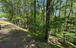 Lakecrest Dr, Hardy, VA 24101