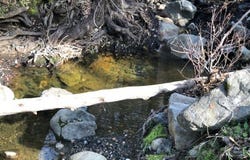 Mountain View Peak Road, O neals, CA 93645