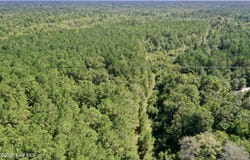 Bud Stephens Road, Evergreen, NC 28438