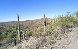 E Silver Tip Road, Queen Valley, AZ 85118