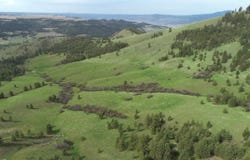 Egypt Loop Rd. E, Davenport, WA 99122