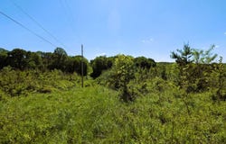 Baptist Hill Rd, Chillicothe, OH 45601