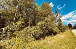 Lake Road, Medina, OH 44256