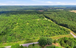 Dick Finch Rd, Romance, AR 72136