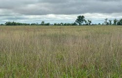 Drummond Area, OK, Drummond, OK 73735
