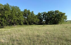 Rural 881 Rd, Verdigre, NE 68783
