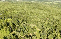 Madison 6376, Elkins, AR 72727