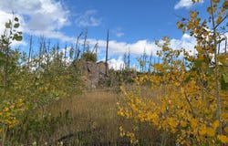 2025 Granite Rd, Bellvue, CO 80512