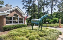 433 True Cedar Way, Aiken, SC 29803