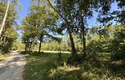 187 High Point Rd., Deer Lodge, TN 37726