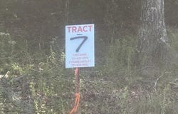 TRACTS 7-9 CARROLL HOLLOW Rd lot: 7,8,9, Waynesboro, TN 38485