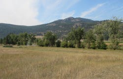 CUSTOMS Rd, CURLEW, WA 99118