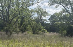 East Road, Fitzgerald, GA 31750