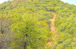 Tx-148, Jacksboro, TX 76458