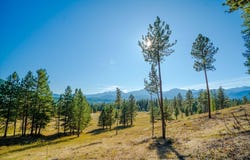 kna Mack Road, Libby, MT 59923