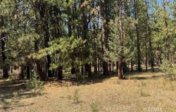 Whitetail Lane, Bonanza, OR 97623