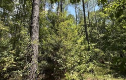 5 County Road 24, Enterprise, MS 39330
