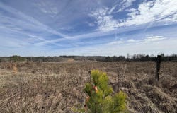 COUNTY ROAD 42 lot: 26.52+/- Acres, STEELE, AL 35987