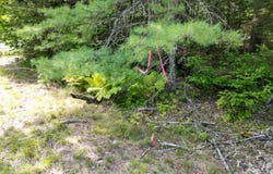 River Road lot: 5, Maxfield, ME 04453