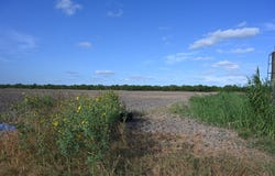 TBD-4 Bixby Rd, La Feria, TX 78570