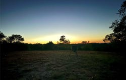 1200 Lipan Apache Run, Blanco, TX 78606