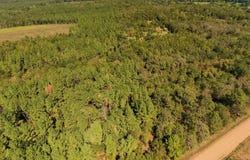 Tbd, Weeks Rd, Bates, AR 72958