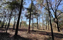 Adams Rd, Crestview, FL 32536