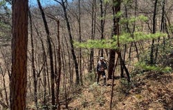 Mountain Folks Way, Sevierville, TN 37876