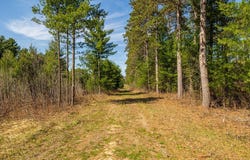 Prairie Road E, Osseo, WI 54758