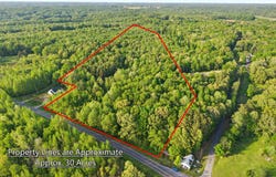 State Route 97, Farmington, KY 42040