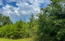 FM 2939, Newton, TX 75966