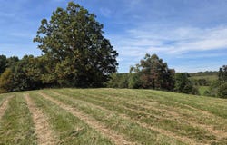 Ridge Road, Check, VA 24072