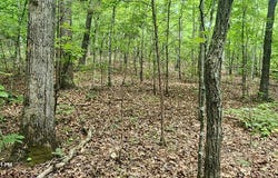 b020 Lakeview Trail, HOLLADAY, TN 38341
