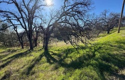 16495 Hillcrest Road, Corning, CA 96021